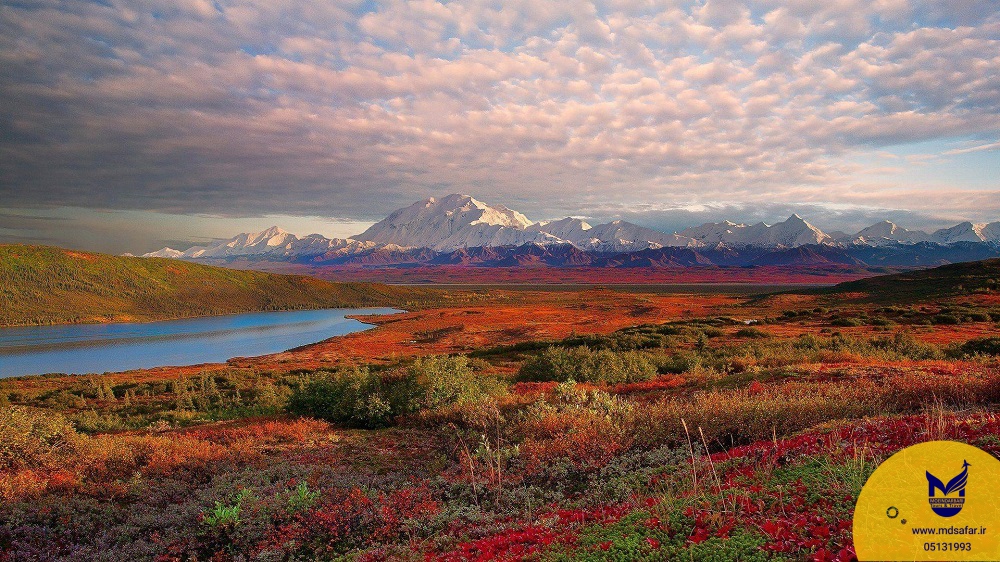 پارک ملی دنالی آلاسکا