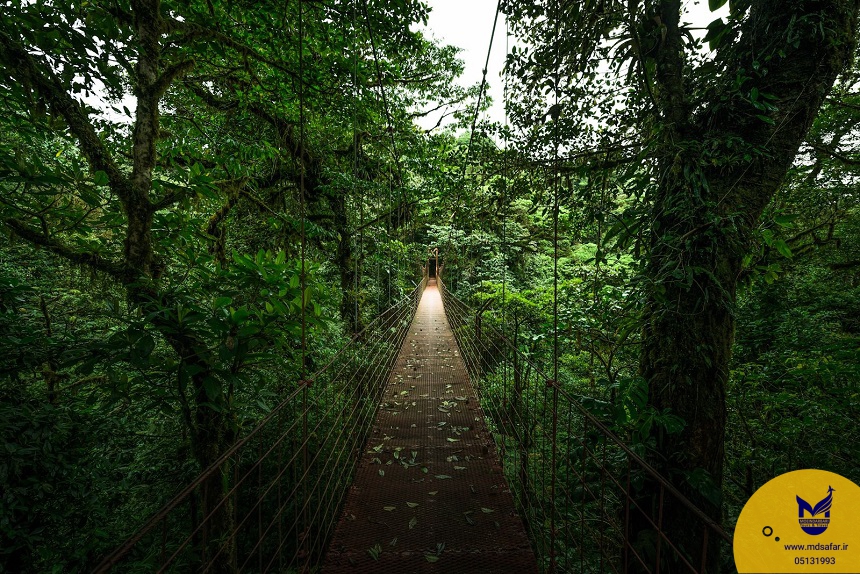  کاستاریکا Monteverde Cloud Forest Reserve