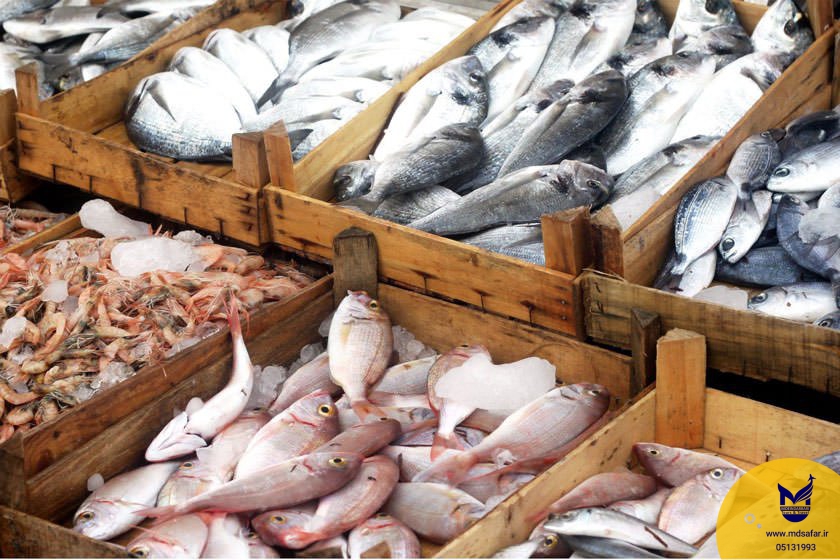 بازار ماهی بندرعباس